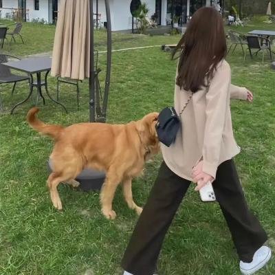 暴力监狱第二季